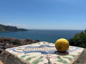Vista da propriedade