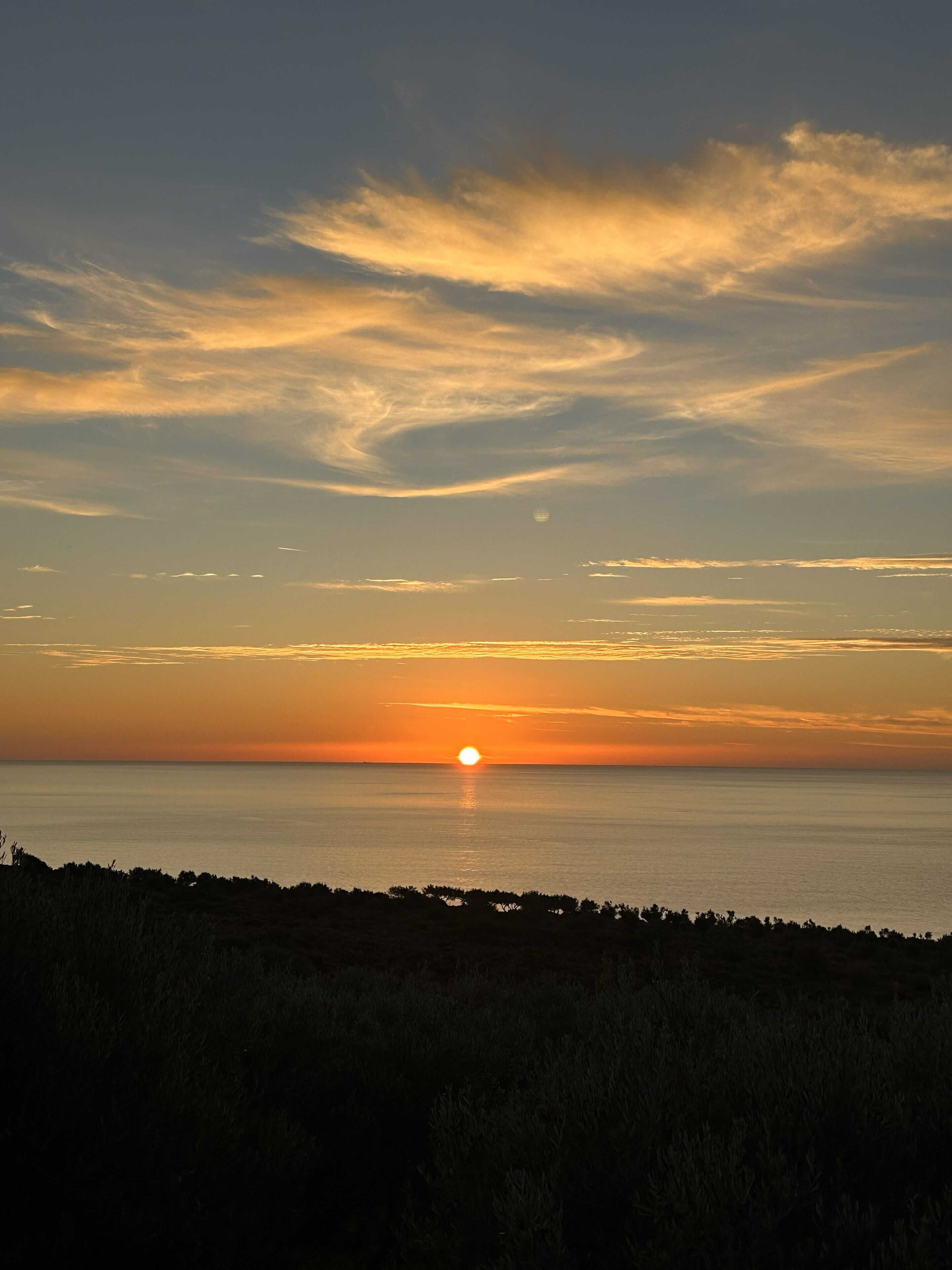 Ein Sonnenuntergang über einem Gewässer, im Vordergrund die Silhouette von Pflanzen.