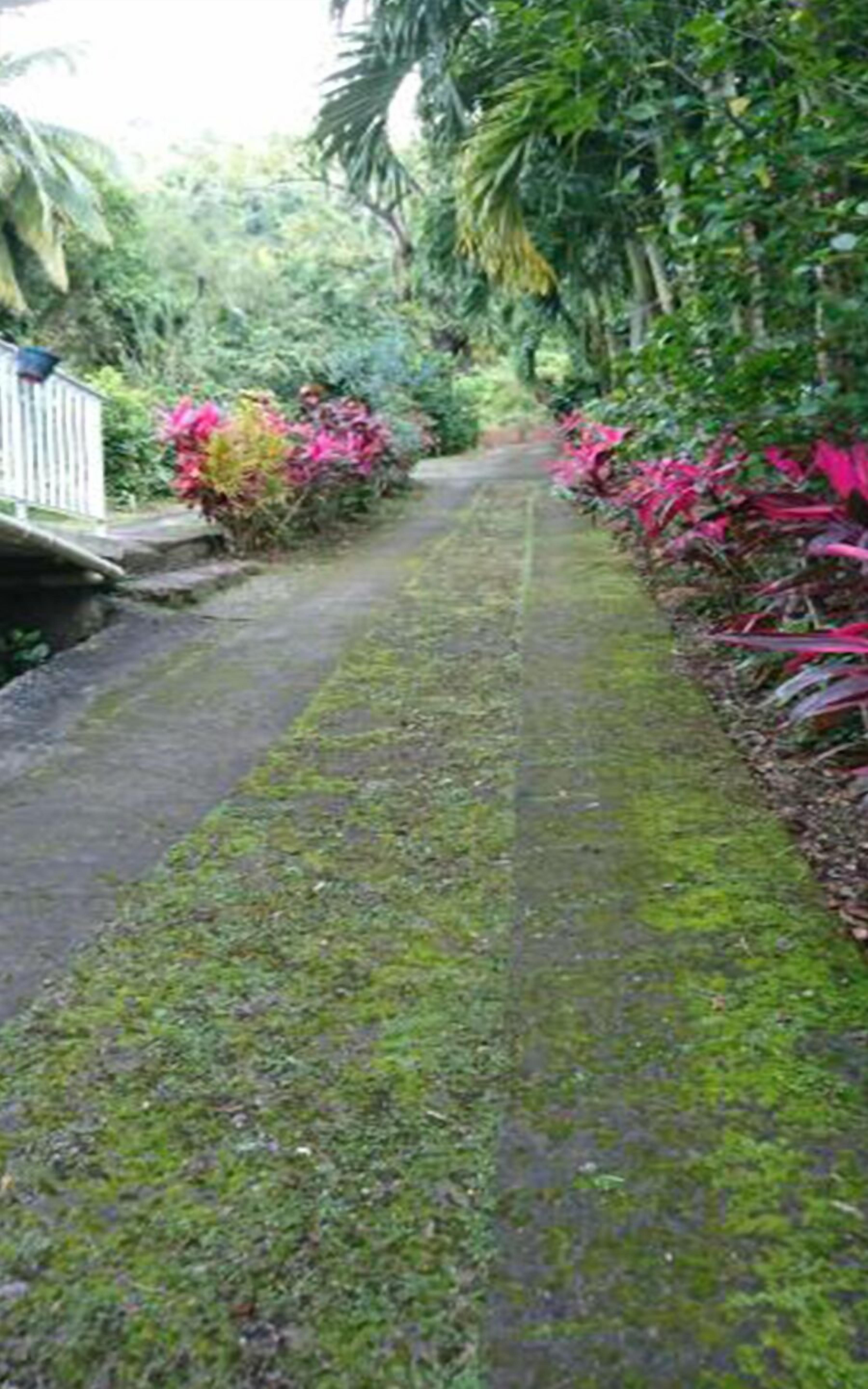 Overnatningsstedets område