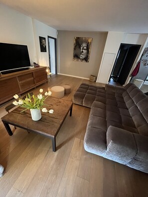 TV, fireplace, DVD player, books - PRETTY FAMILY HOUSE IN PROVENCE (Éguilles)