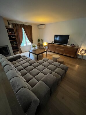 Télévision, cheminée, lecteur de DVD, livres