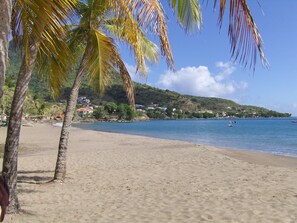 A beach with palm trees, a sandy shore, and a calm sea.