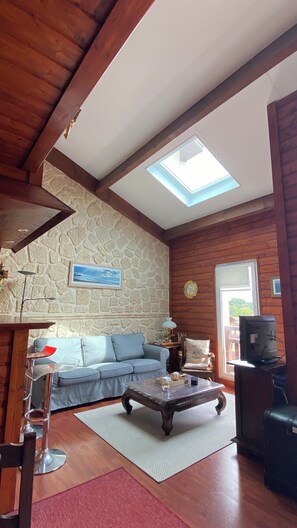 Älytelevisio, kirjoja