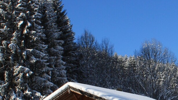 A wooden cabin with a snow-covered roof, surrounded by snow-laden trees and a clear blue sky. - THE family chalet, ideal winter and summer! View at the top! (Morillon)
