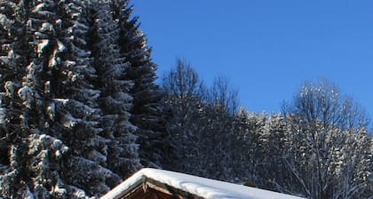LE Chalet familial, idéal hiver comme été ! Vue au top !