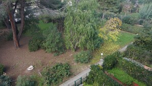 A garden with various trees and shrubs, a paved walkway, and a fence.
