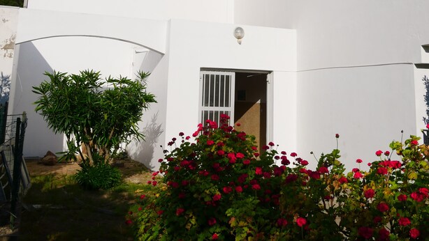A white building with a door and a small garden with red flowers.