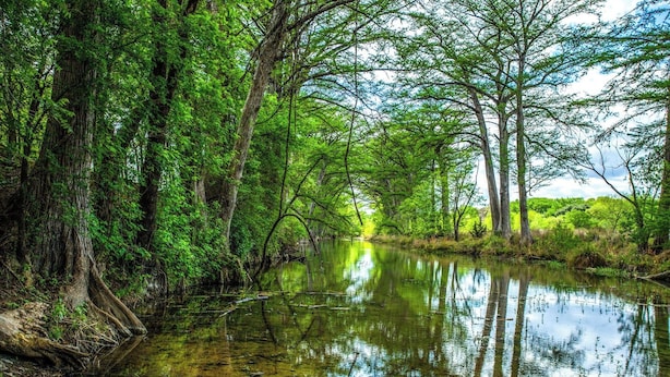 A river surrounded by dense greenery and trees. - River Ridge Cabin | Bandera Stay with River Access (Bandera)