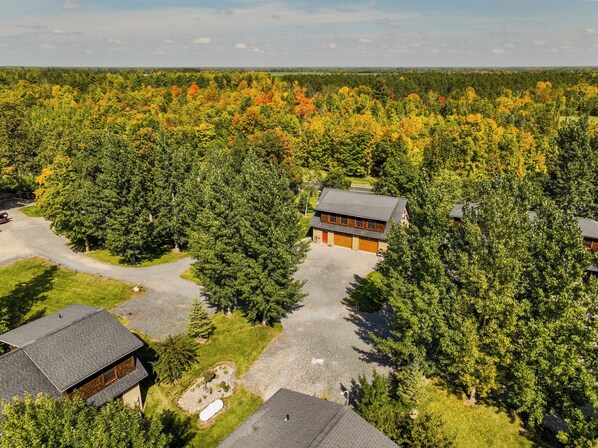 A residential area with multiple houses surrounded by dense forest.