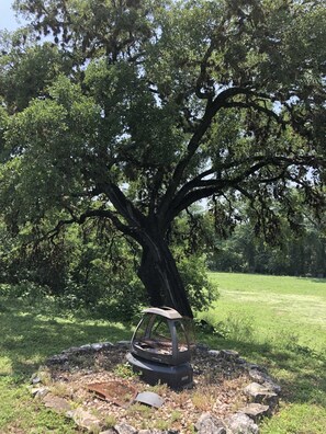 Property grounds - Rocky River Guest House (Bandera)