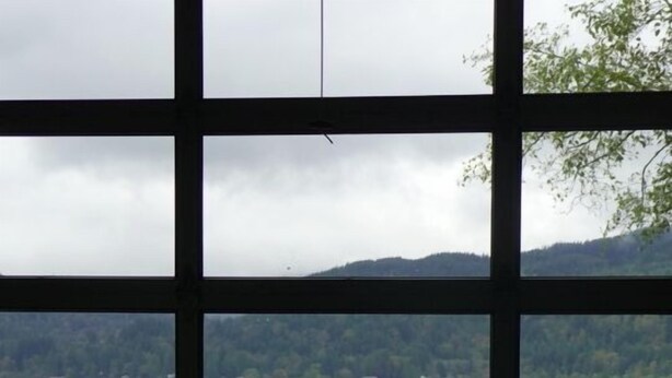 Blick durch ein Fenster mit Gittermuster auf einen See, Wiesen und einen Holzsteg.