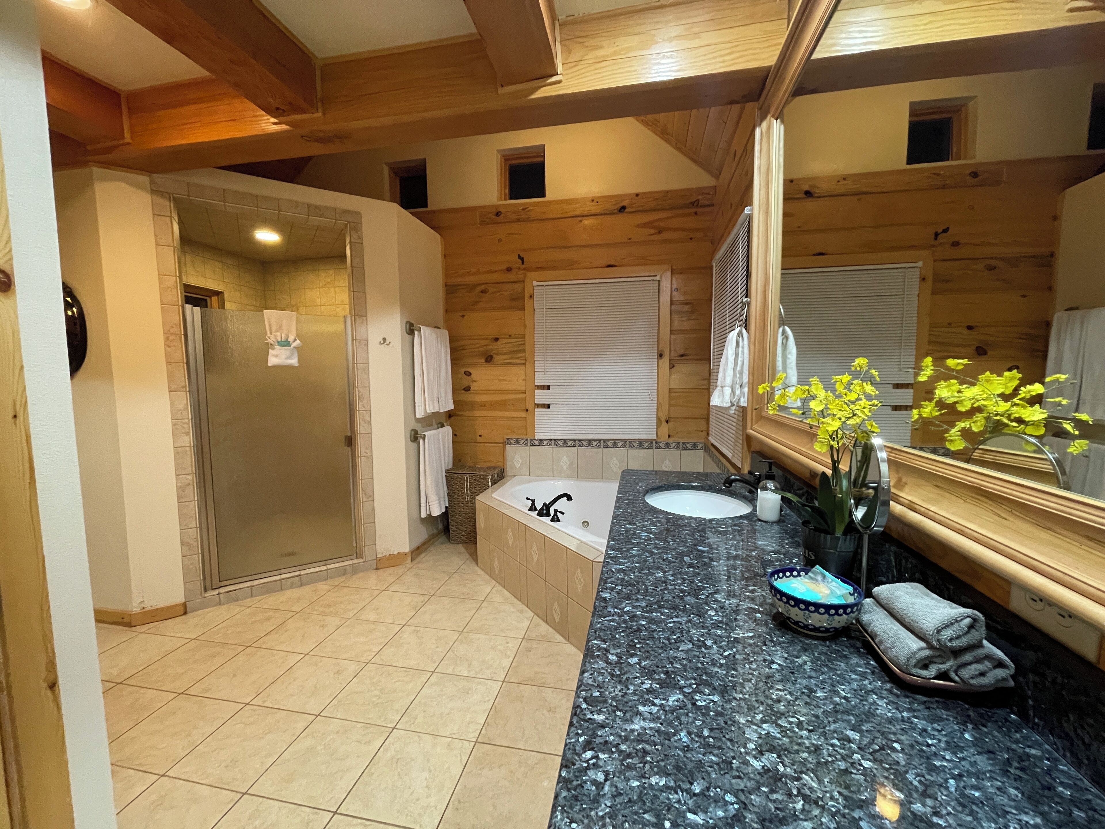 Shower, jetted tub, hair dryer, towels