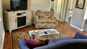 Televisión y chimenea