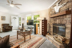 Televisio, takka, DVD-soitin, stereot