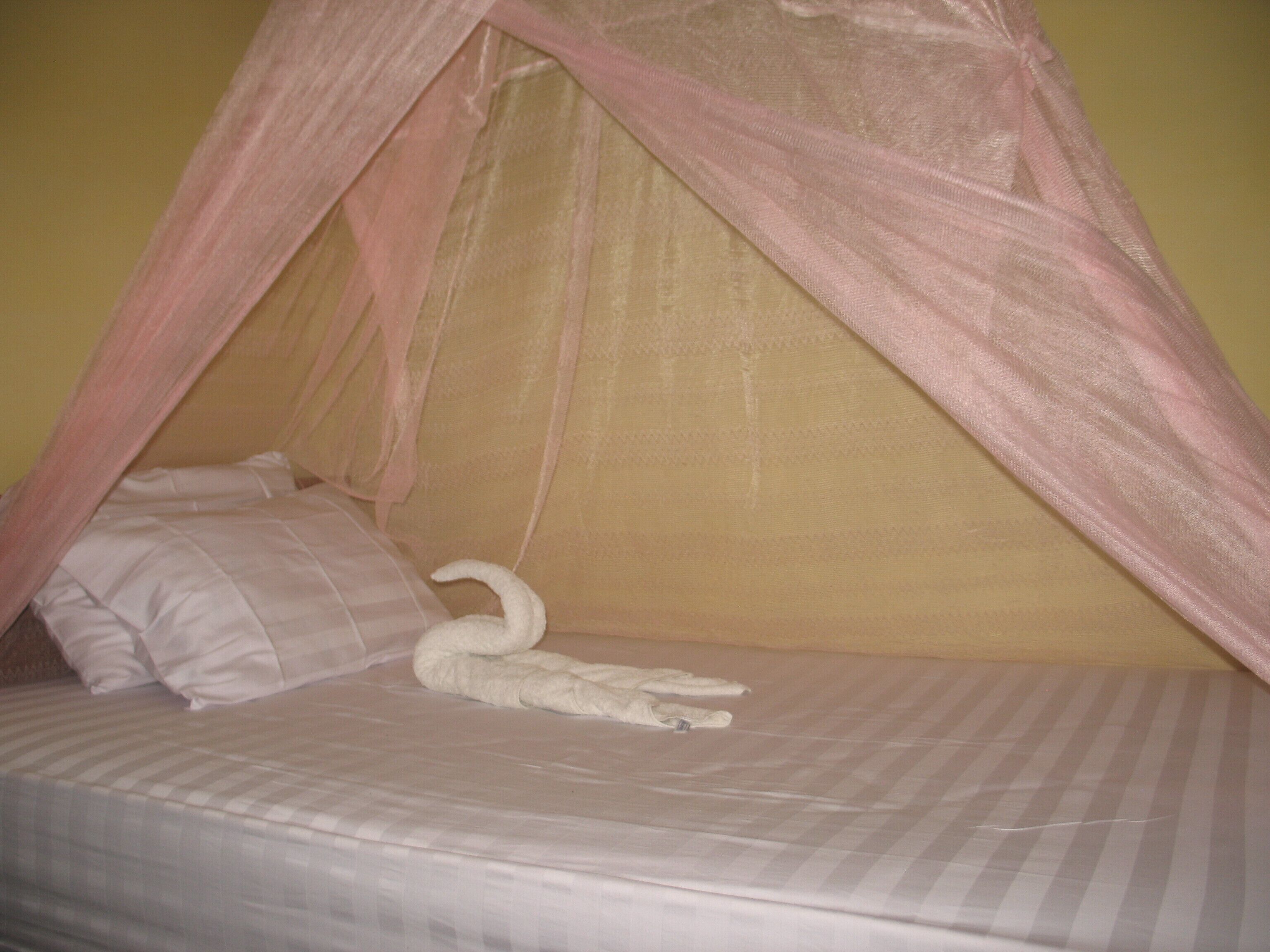 Luxury Villa On The Beach In Lovina Beach Bali