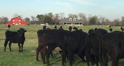 Ladon atopia Ranch A&M UT Dallas Houston College Station Austin Huntsville