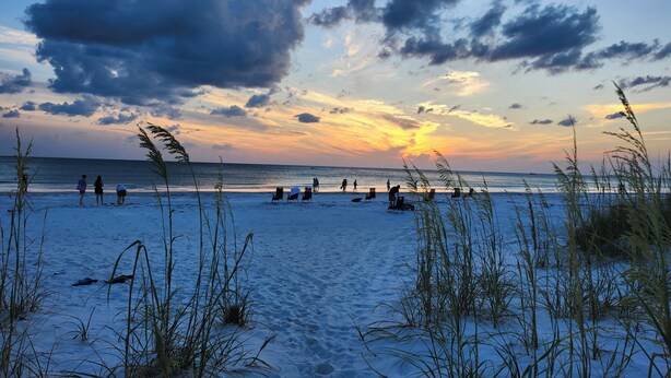 A beach with people and beach chairs, and tall grasses in the foreground.