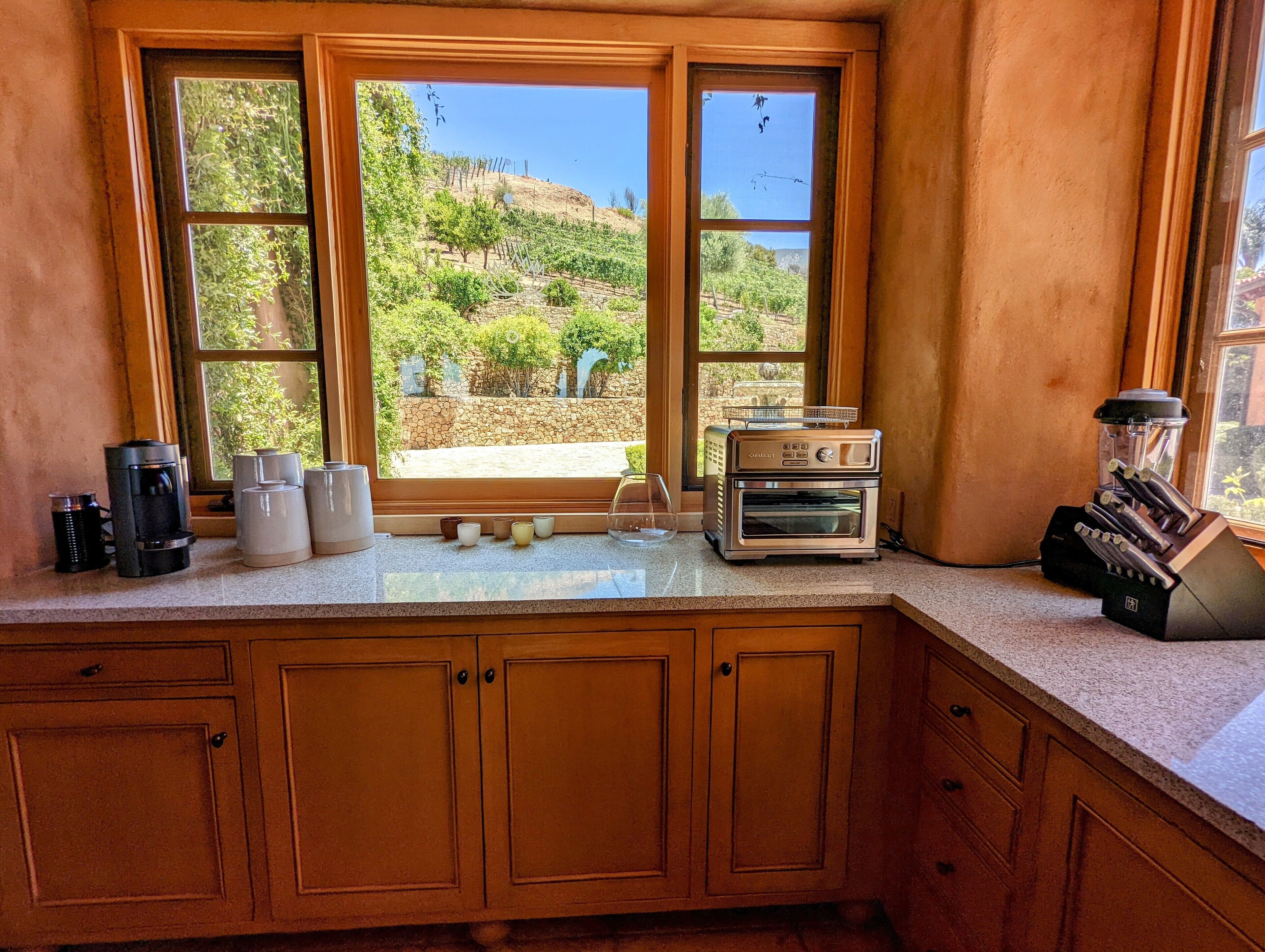 Ojai Vineyard Estate on 40 acres