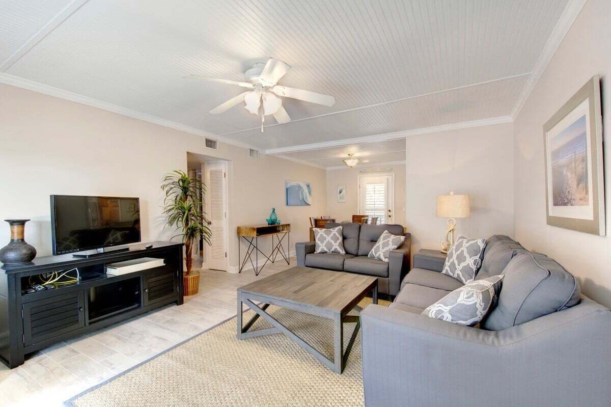 TV