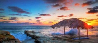Driftwood your perfect beach getaway!