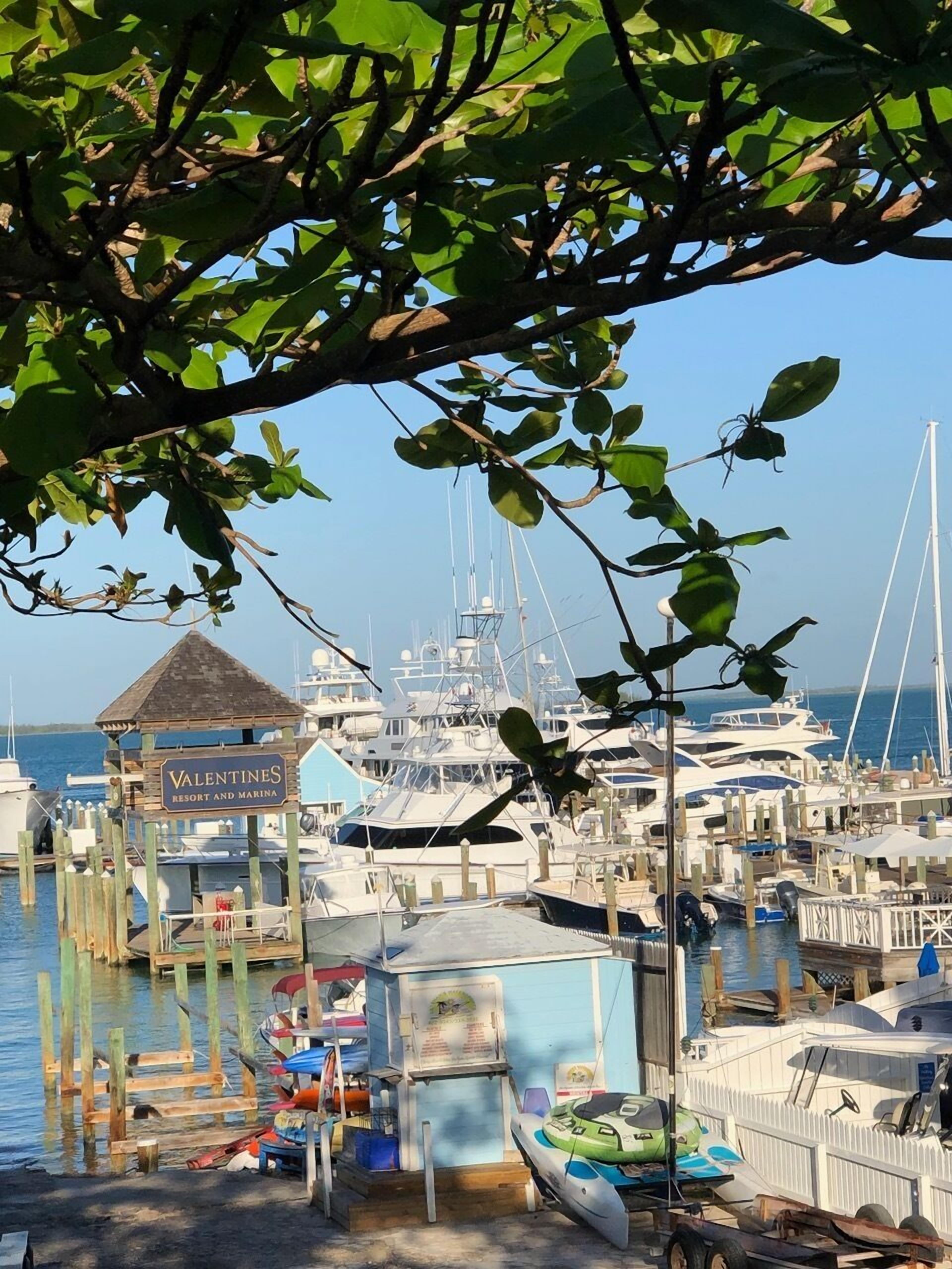 Marina