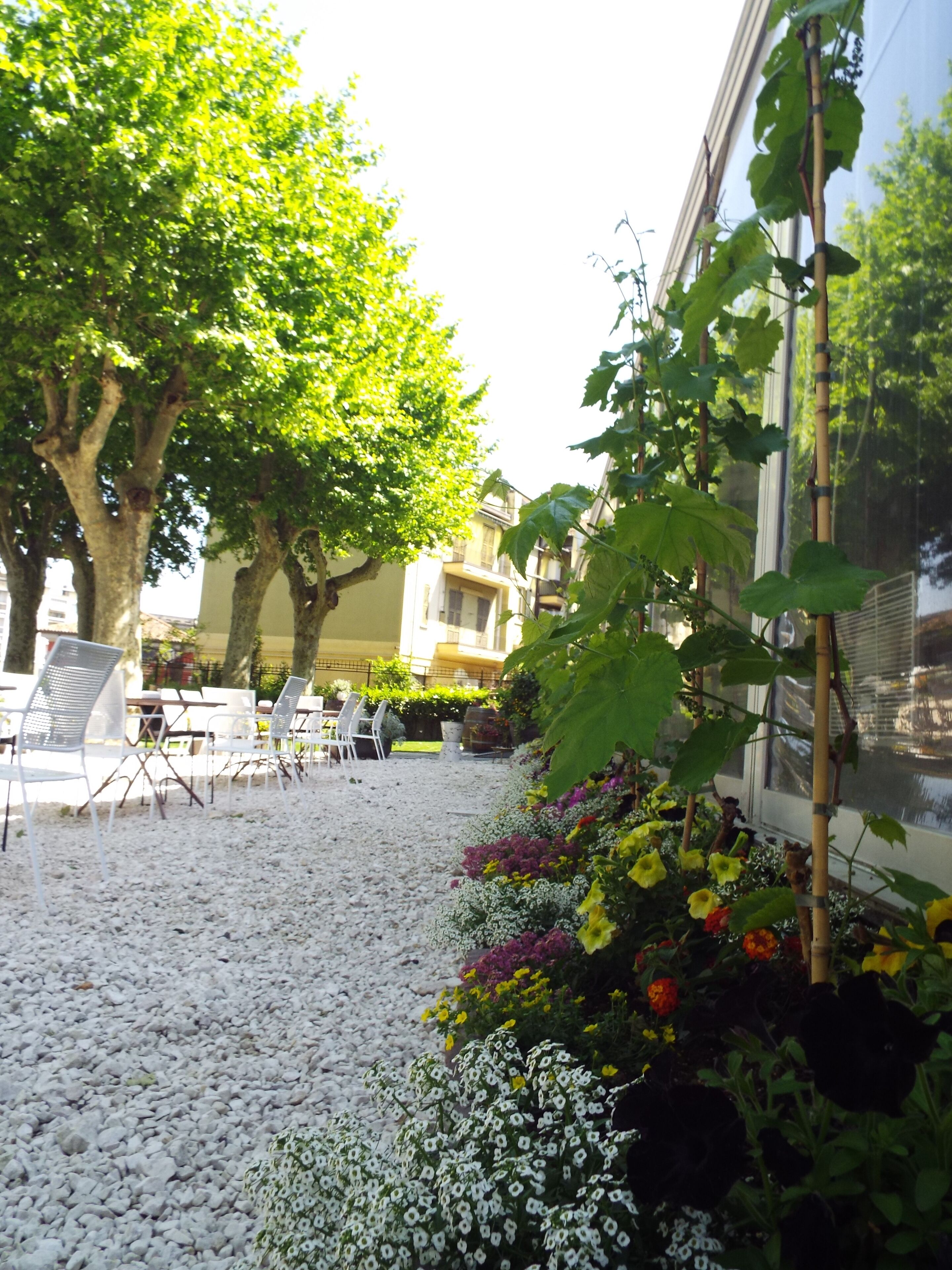 Giardino