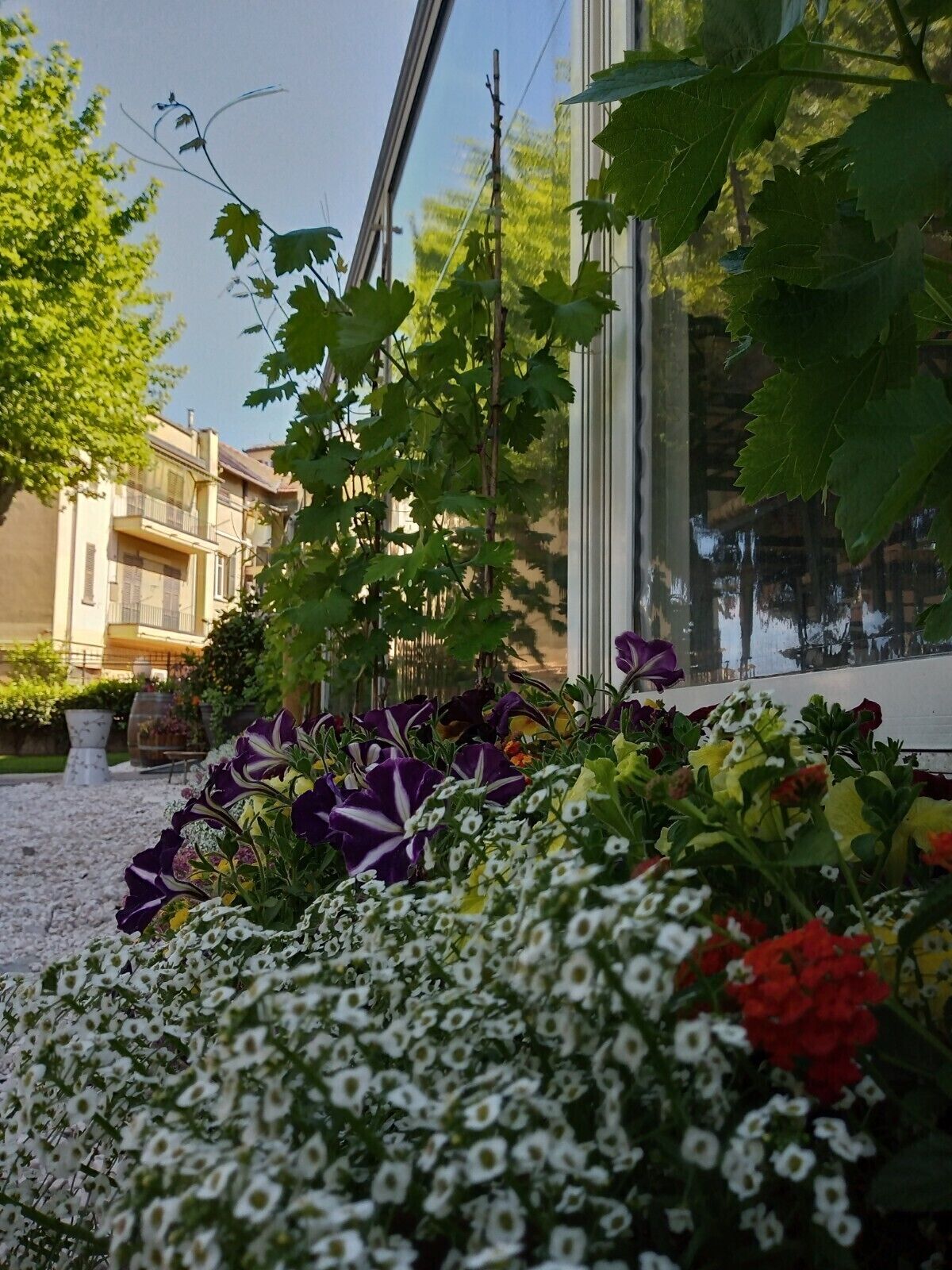 Esterni