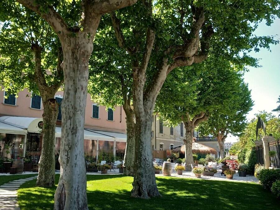 Jardin
