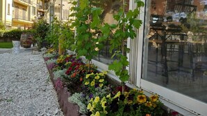 A building with a long window displaying a variety of plants and flowers. - Ristorante Albergo Corona (Novi Ligure)
