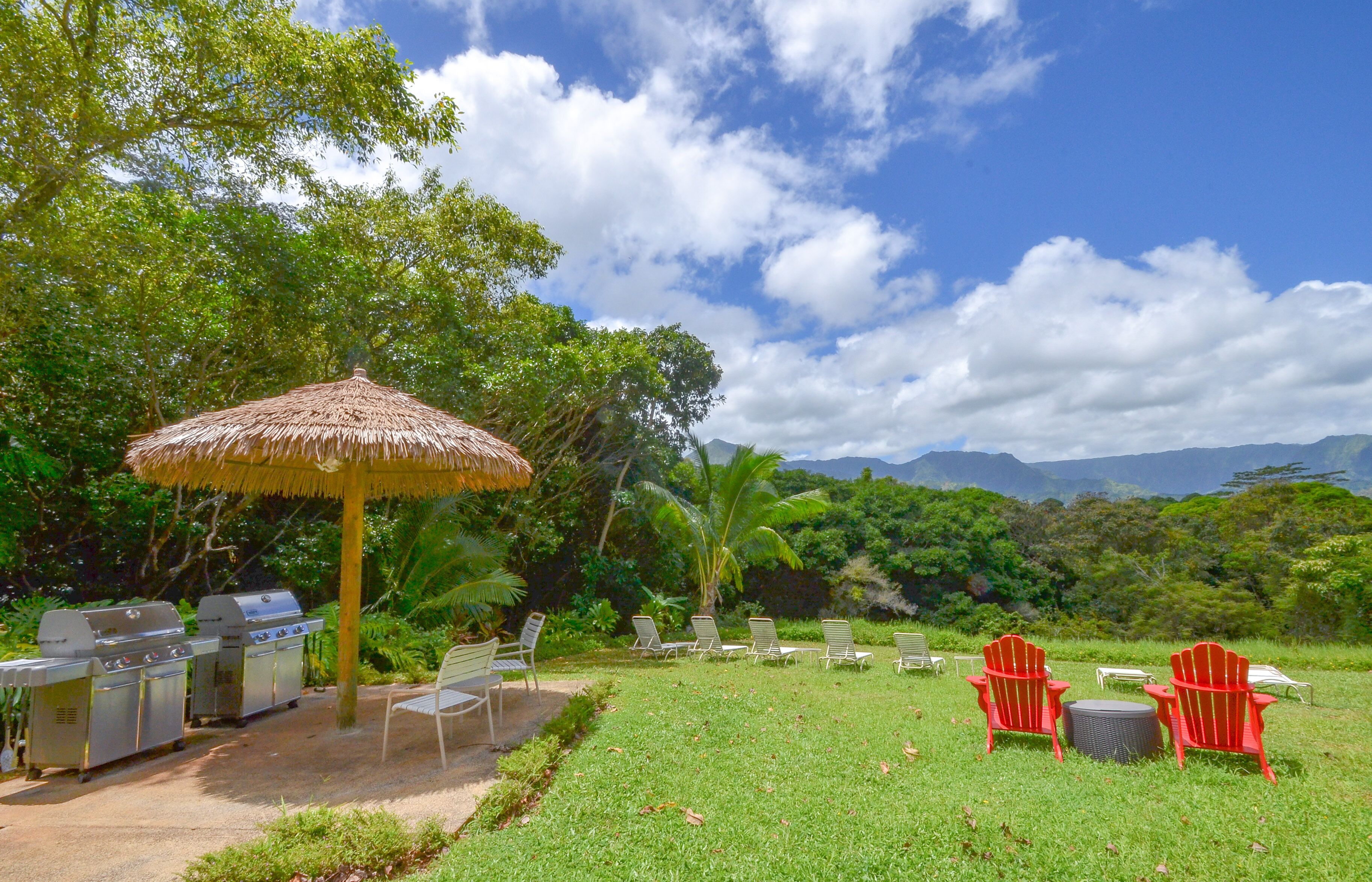 A barbecue area with grills, a thatched umbrella, and red chairs in a grassy outdoor setting with trees and mountains in the background.