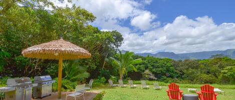 A barbecue area with grills, a thatched umbrella, and red chairs in a grassy outdoor setting with trees and mountains in the background.