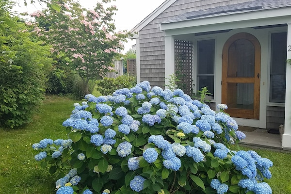 Cottage door entryway