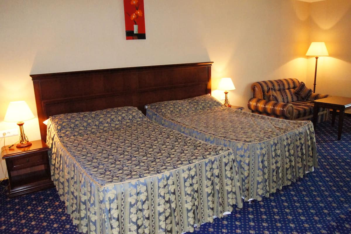 Standard Twin Room, City View | Minibar, in-room safe, desk, blackout drapes