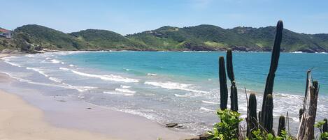 Beach nearby, sun loungers