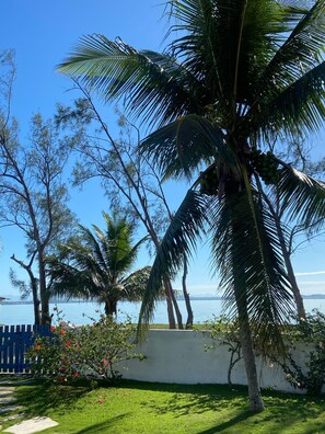 Área da propriedade