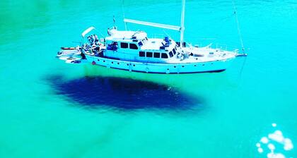 Incredible excursions & tours to the islands Islas Espíritu Santo & Balandra Bay