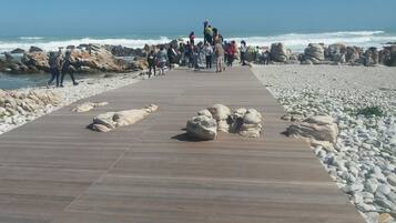 Sulla spiaggia