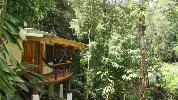 A wooden cabin with a balcony, surrounded by dense forest.