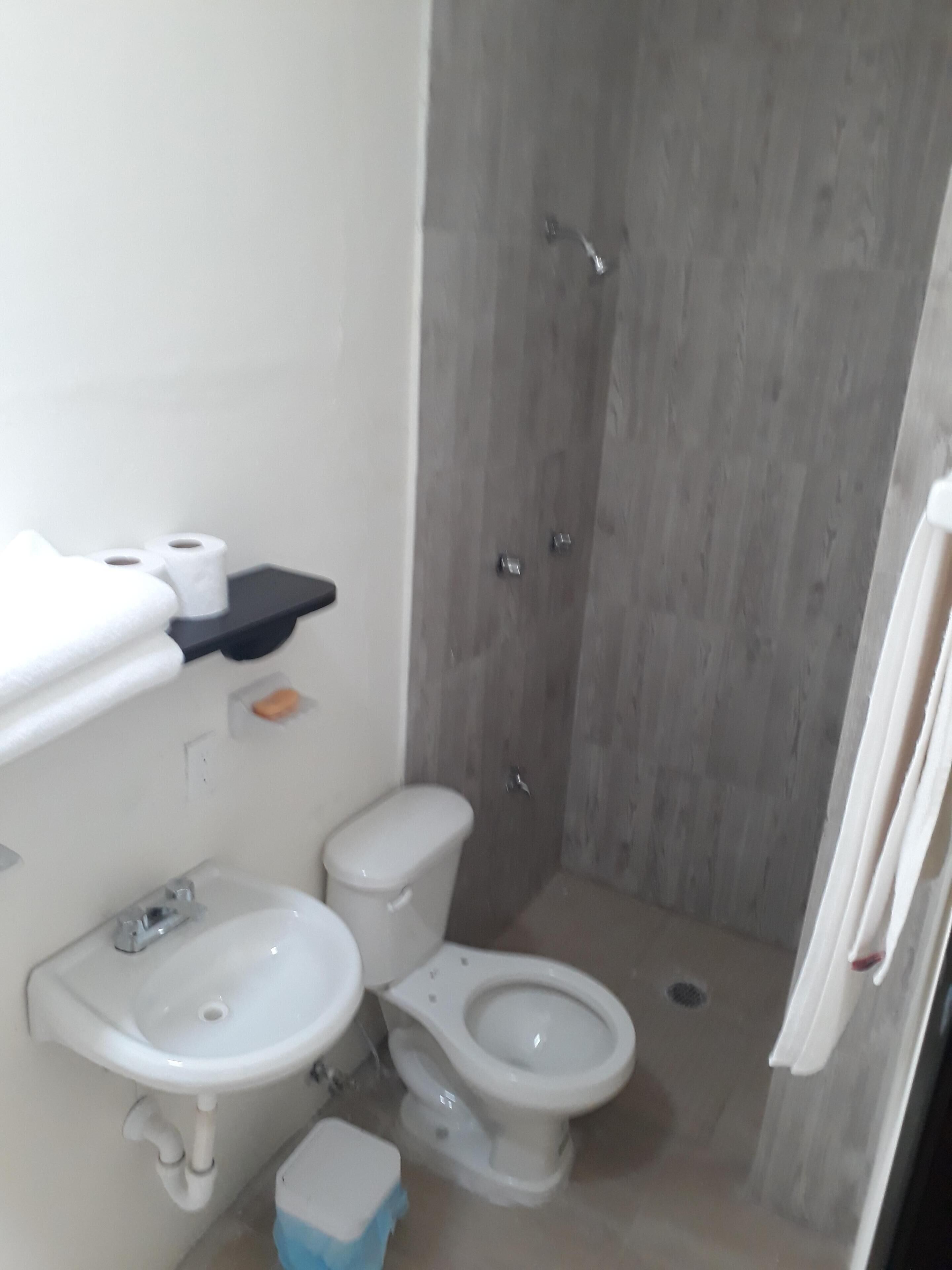 Towels, soap, shampoo, toilet paper