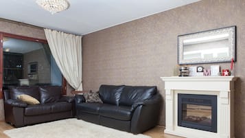 LCD TV, fireplace, books