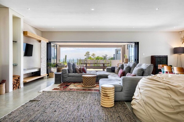 TV, fireplace, books