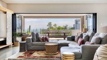 TV, fireplace, books