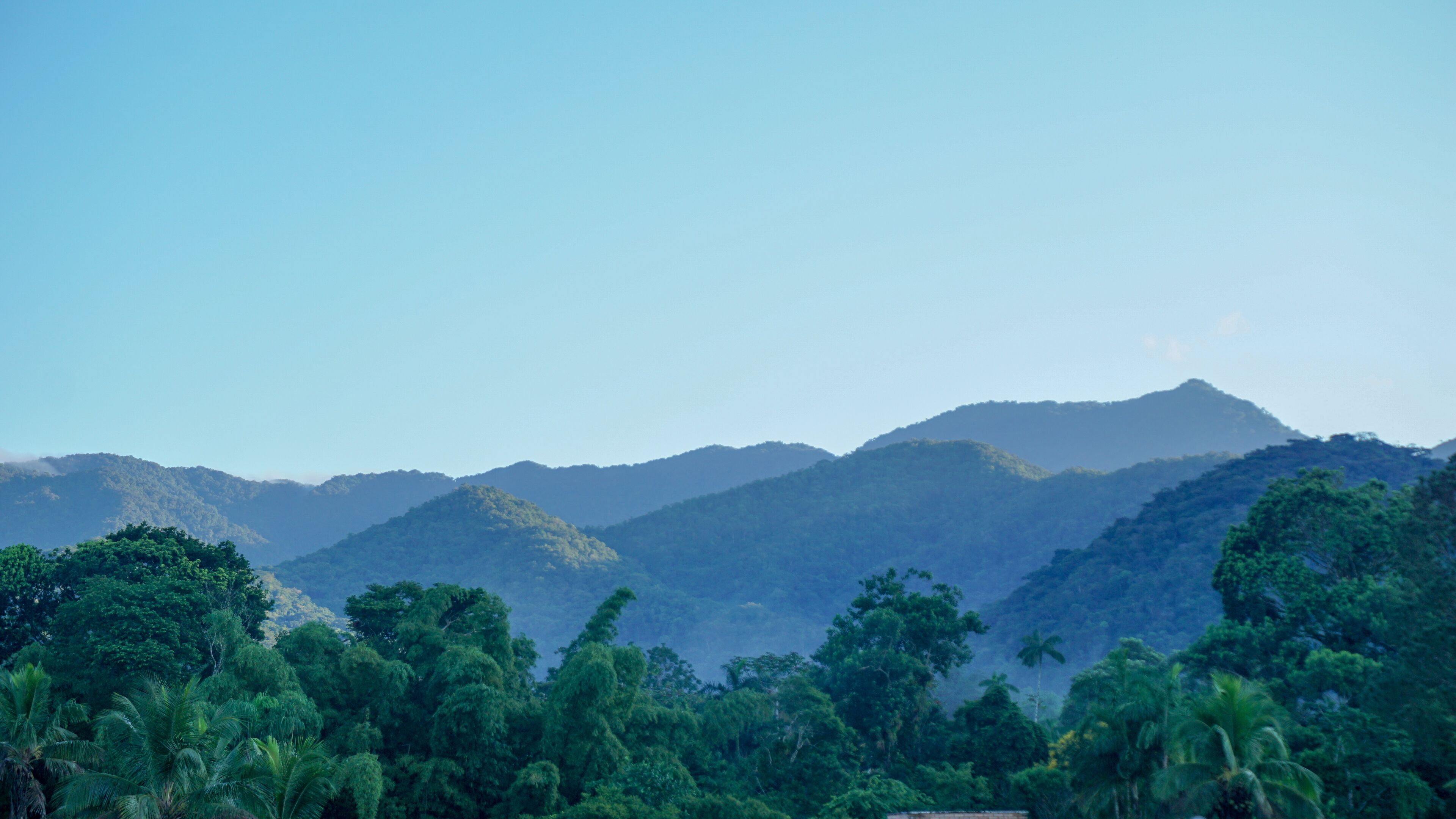 Un paisaje montañoso con vegetación verde exuberante y palmeras.