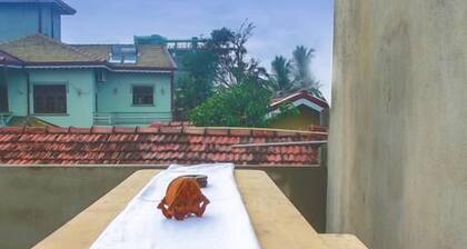 Aloe Vera Villa - Hostel