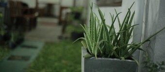 Aloe Vera Villa - Hostel