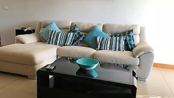 Televisión, reproductor de DVD y biblioteca musical