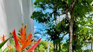 Un sendero de piedra que atraviesa un exuberante jardín con plantas tropicales y un árbol.