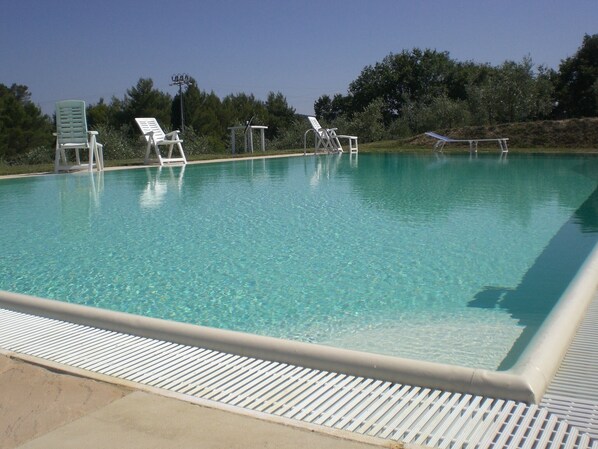 Une piscine aux eaux cristallines, agrémentée de plusieurs chaises longues blanches et d’un transat.