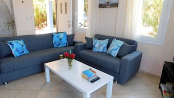 Smart TV, fireplace, DVD player, books