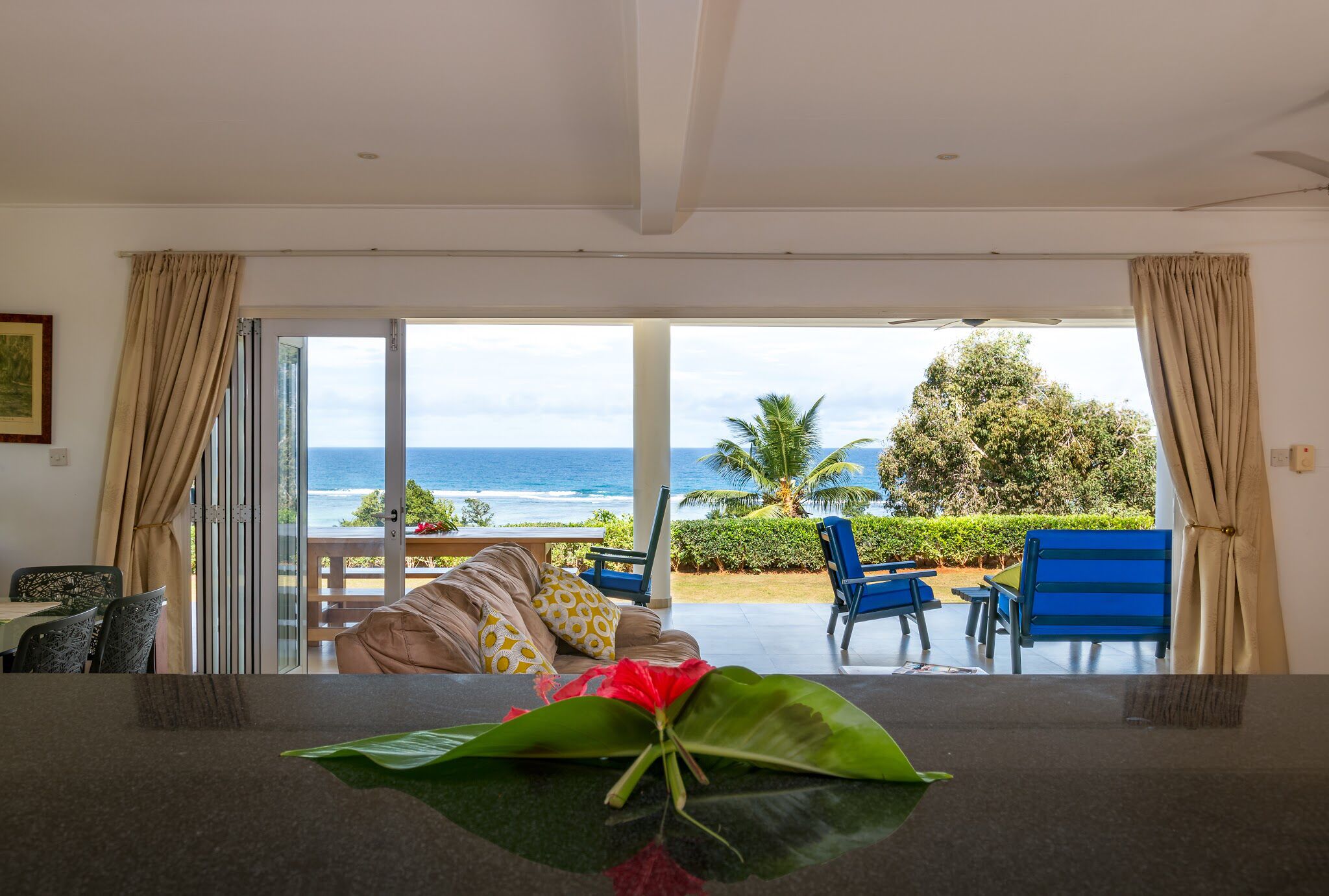 Televisión y libros 